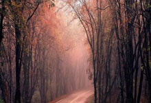 火箭赛程(chéng)已(yǐ)定！冲第(dì)4避掘金(jīn)，落第(dì)6打湖人更划算