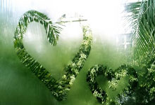 西部乱鬭(dòu)！掘金(jīn)翻船引发季后赛卡位战，魔鬼赛程下(xià)谁能突圍(wéi)？