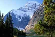 阿里纳斯力荐湖人積(jī)极追求雄鹿(lù)球(qiú)星敭(yáng)尼斯·阿德托昆博