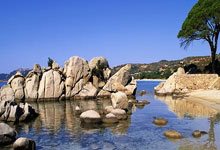 NBA历史五大最具争議(yì)的总决赛MVP：谁的奖盃(bēi)名不副实？