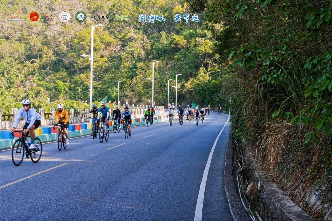 为什么是阳江？这场“一带一路”收官之战的选址深意