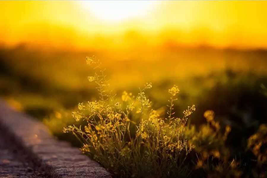 篮球明星创办青少年训练营